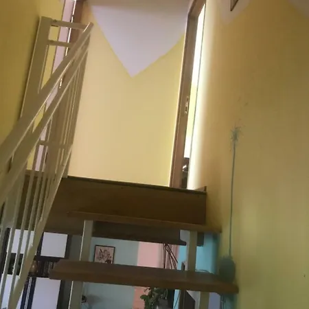 Viola Vendeghaz Mezőkövesd